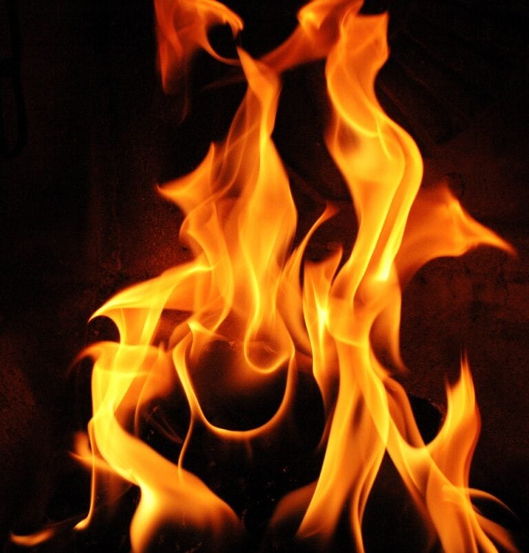 VI domenica di Pasqua - anno B